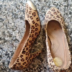Heels from carlton london